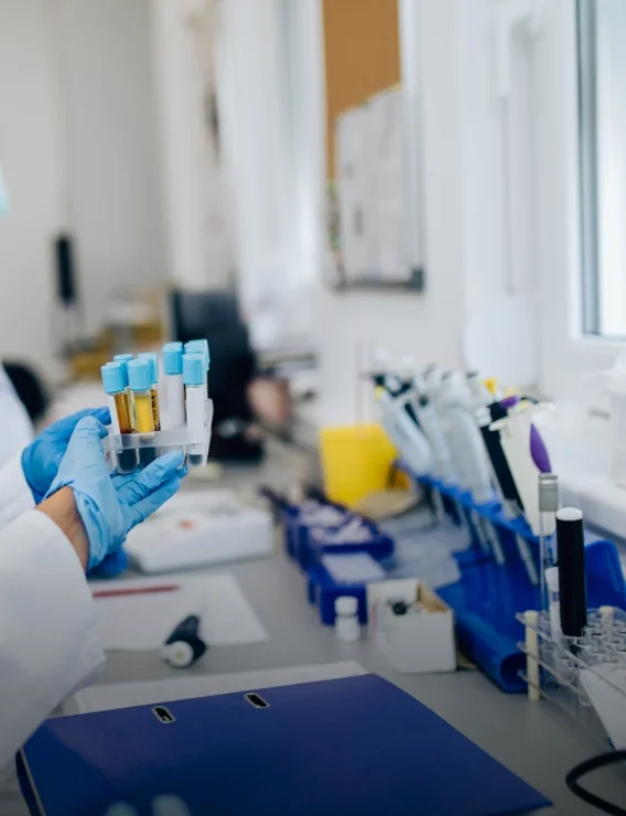 fossa biologica svuotamento